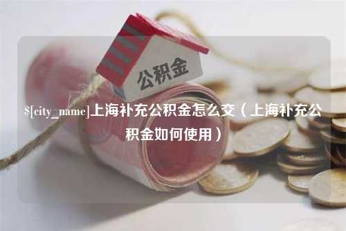 辽宁上海补充公积金怎么交（上海补充公积金如何使用）